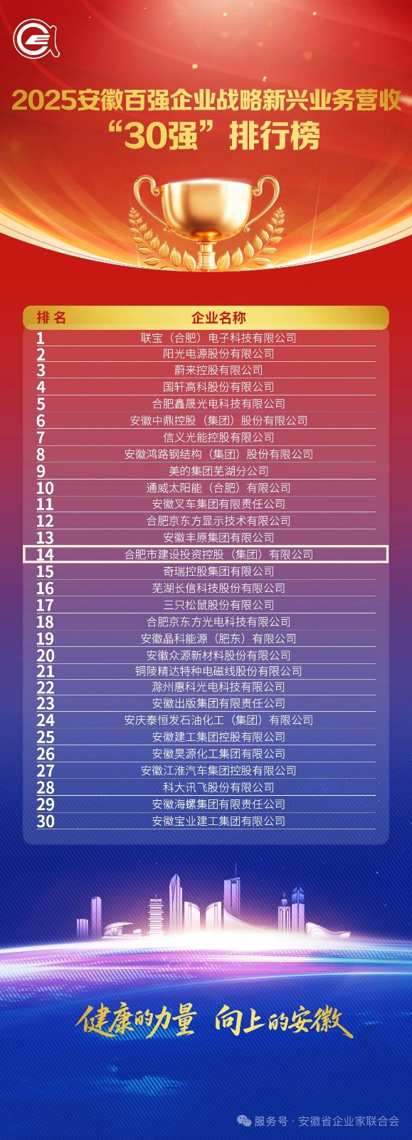 1763967134353 3.2025安徽百强企业战略新兴业务营收30强